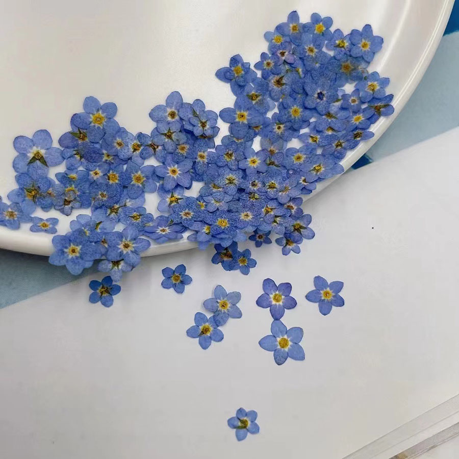 60 шт. миниатюрных сухоцветов  – обзор и цена Resin Art Baby