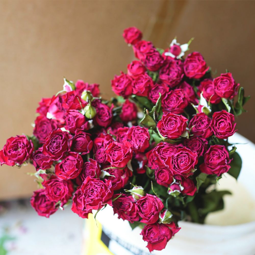 Натуральный букет из сухих роз – обзор и цена Resin Art Rose
